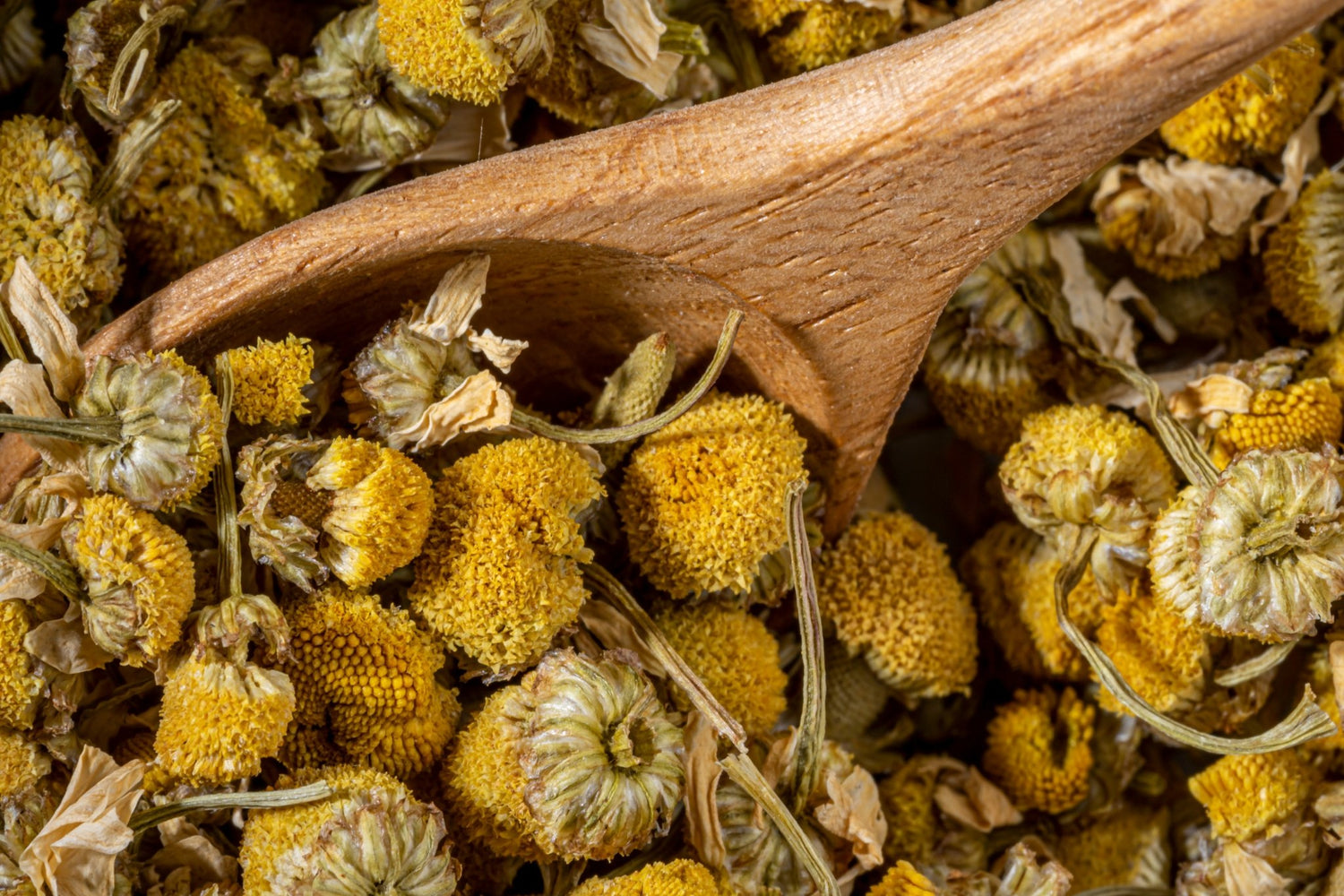 9 Reasons Why You Should Be Drinking Loose Leaf Tea: The Downsides Of Shredded, Bagged Tea - Loose Leaf Tea Market