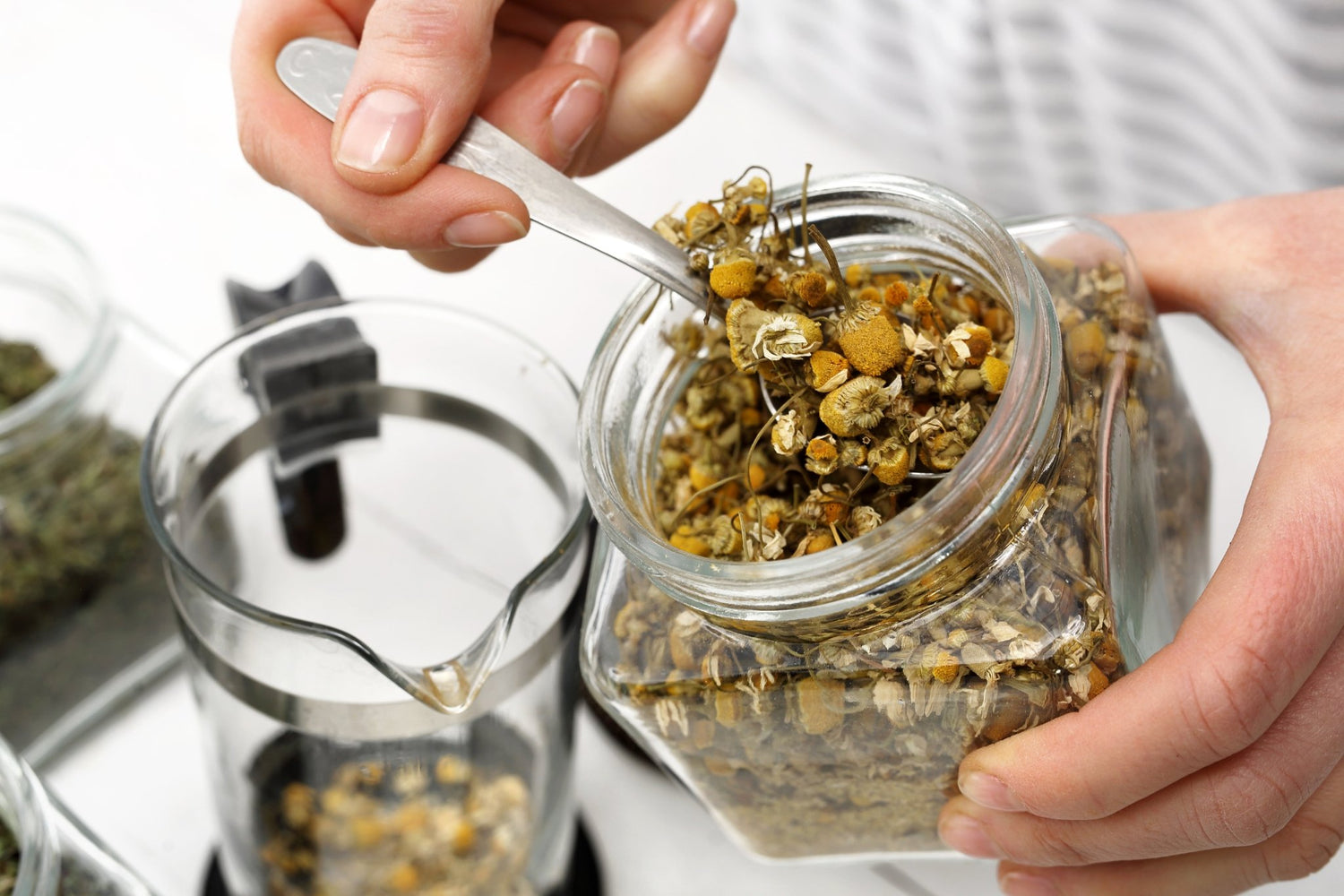 How To Travel With Loose Leaf Tea & Stay Healthy On Your Vacation - Loose Leaf Tea Market