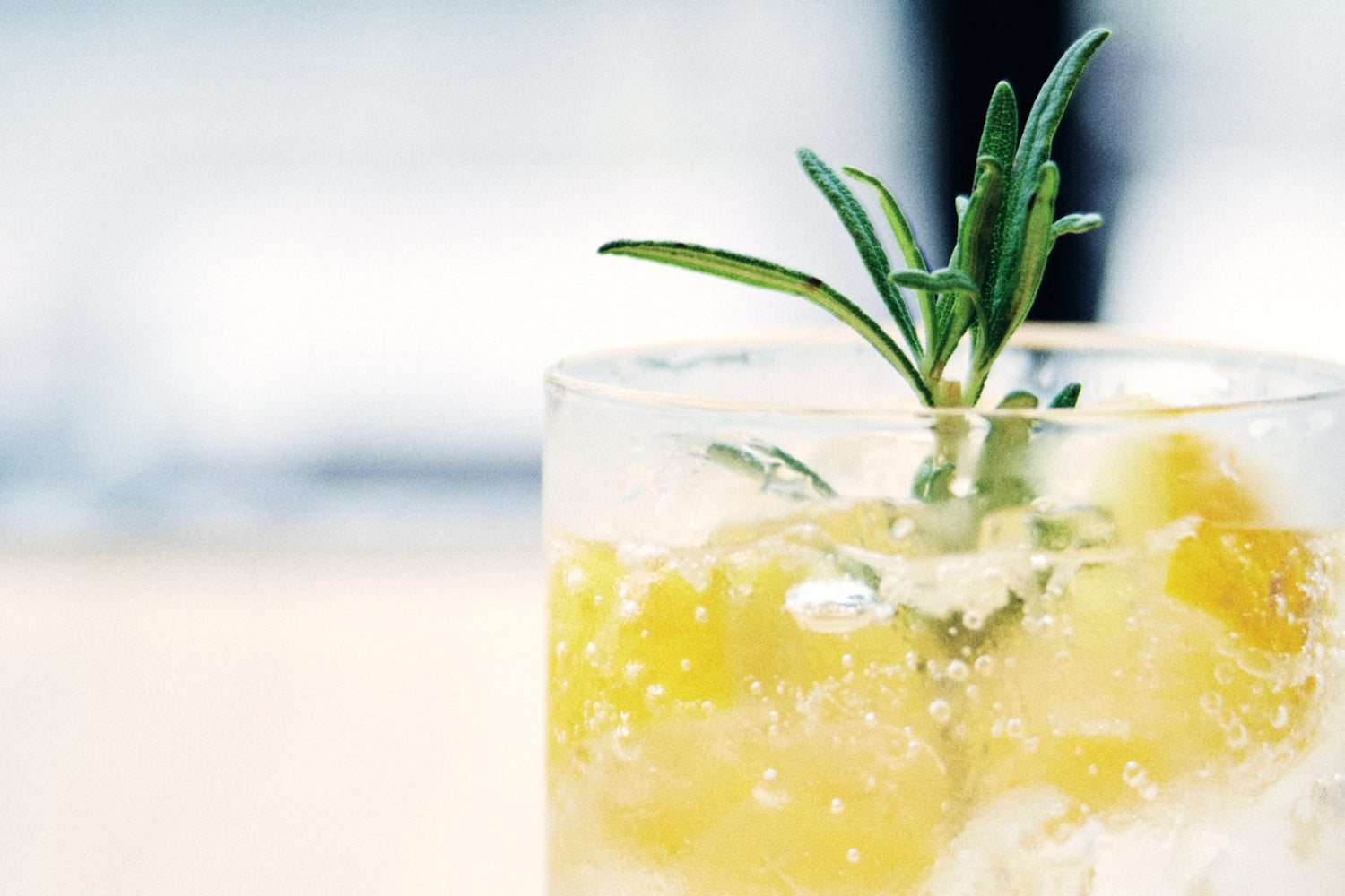 Sip, Nourish, Repeat: A Sparkling White Tea Recipe to Amplify Your Wellness Journey - Loose Leaf Tea Market