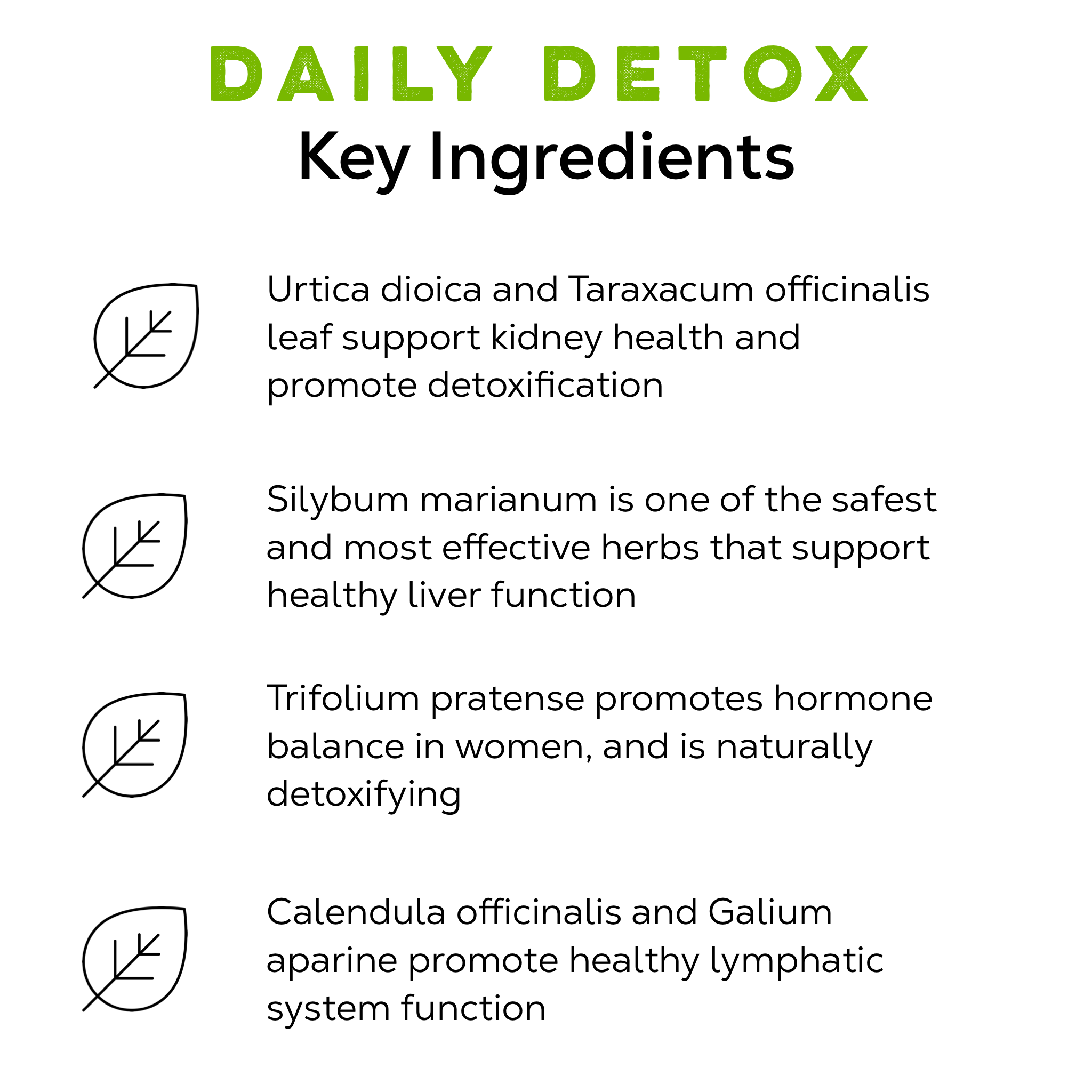 Detox Tea Ingredients