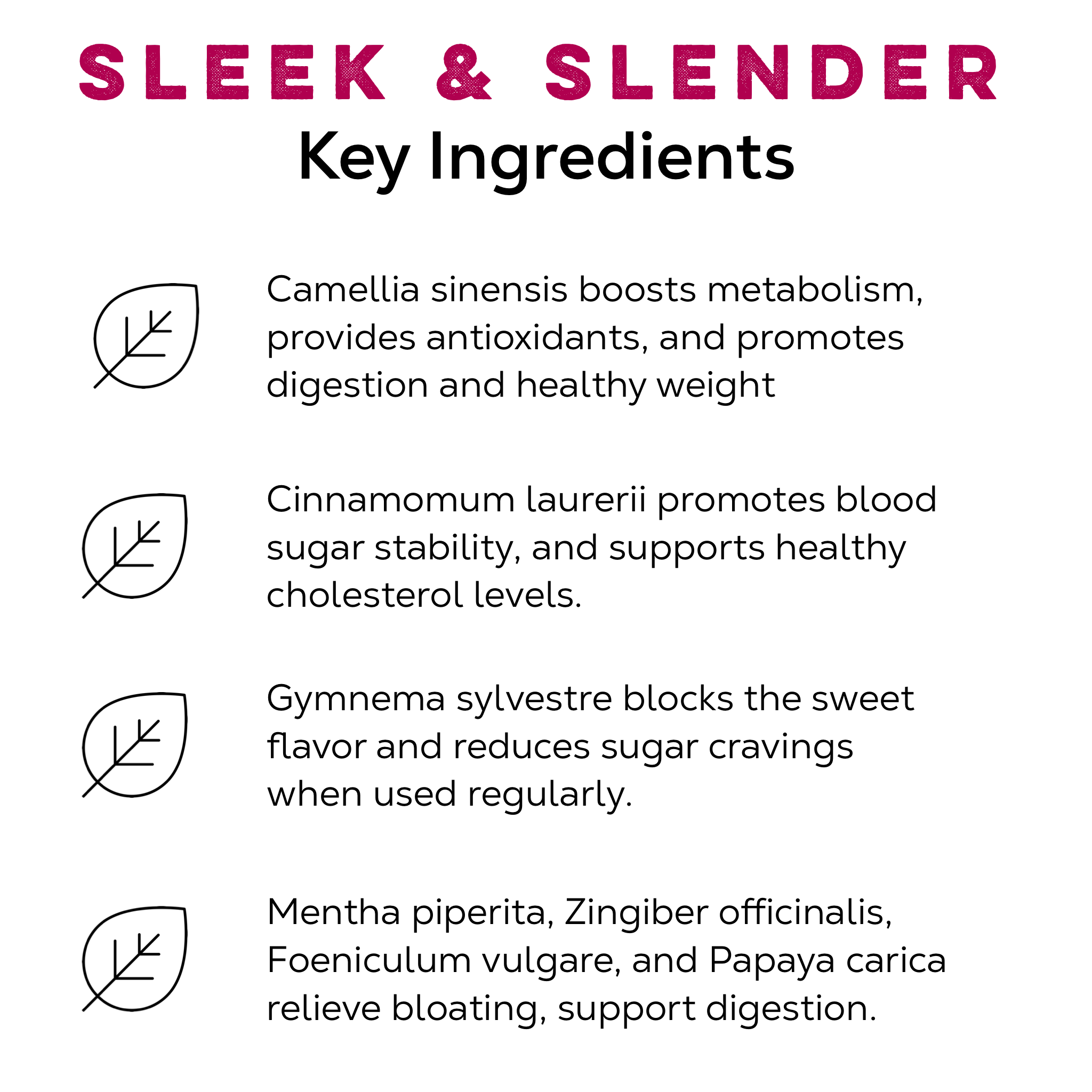 Sleek & Slender Tea - Loose Leaf Tea Market