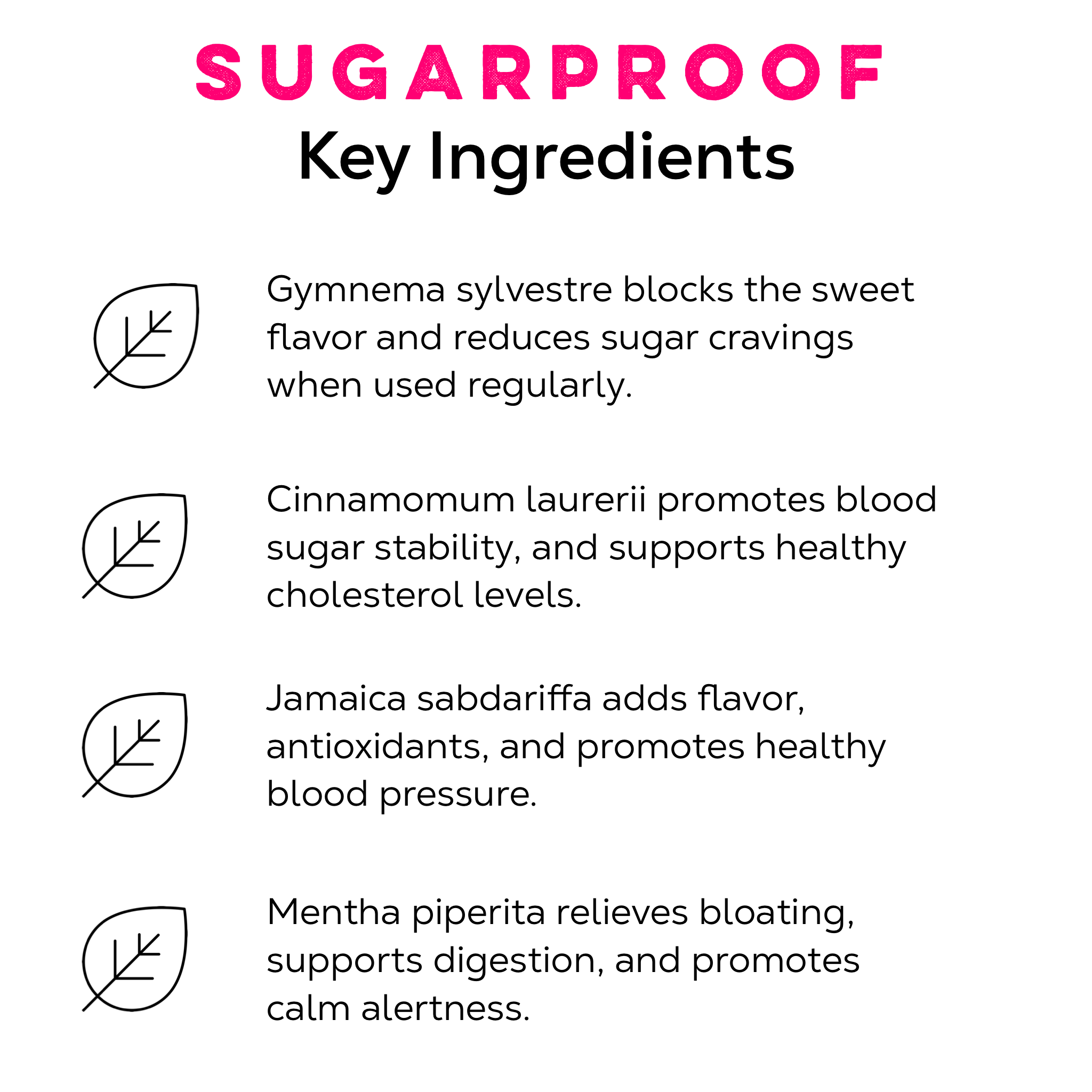 Sugarproof Tea - Loose Leaf Tea Market
