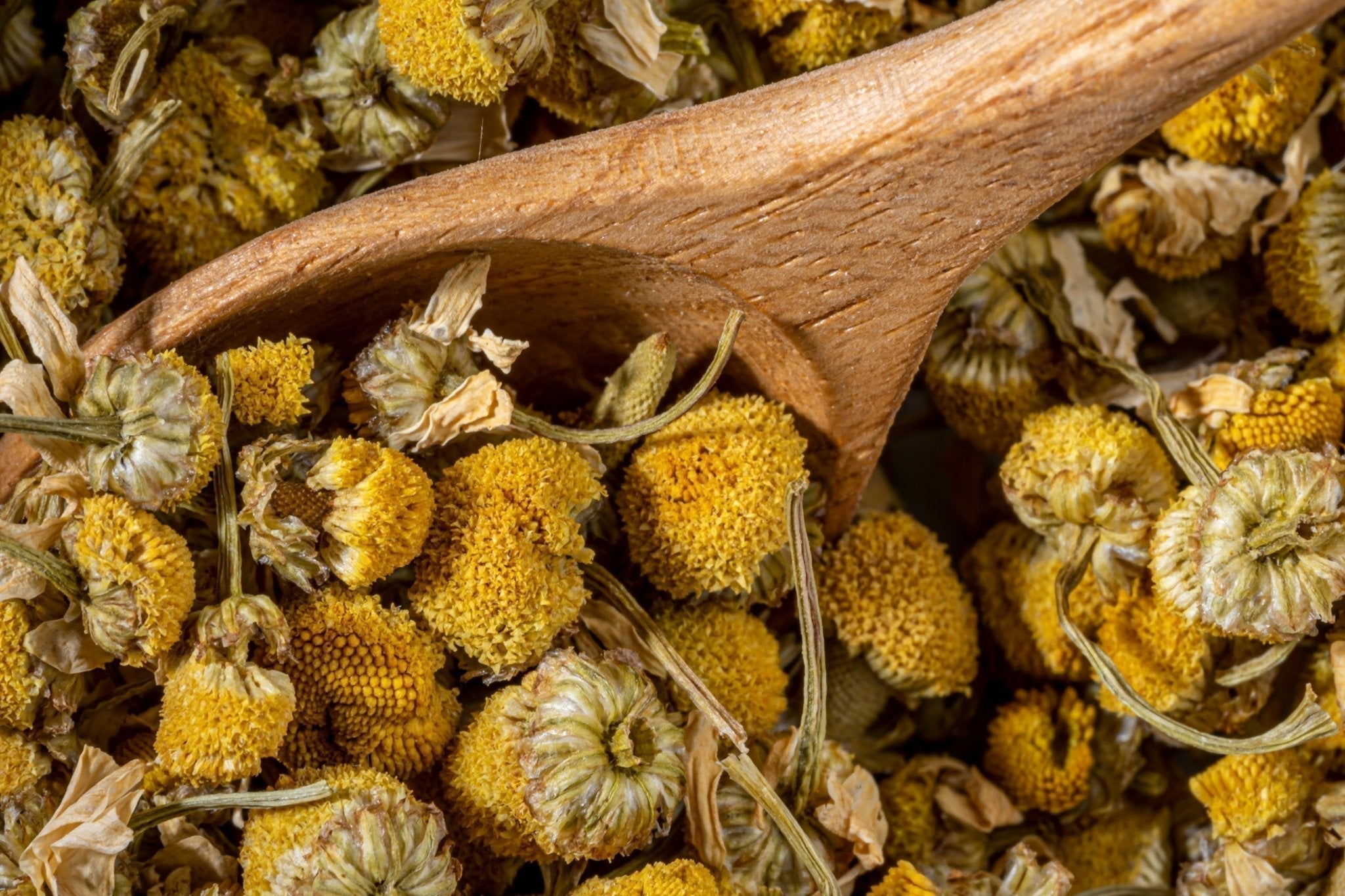 9 Reasons Why You Should Be Drinking Loose Leaf Tea: The Downsides Of Shredded, Bagged Tea - Loose Leaf Tea Market