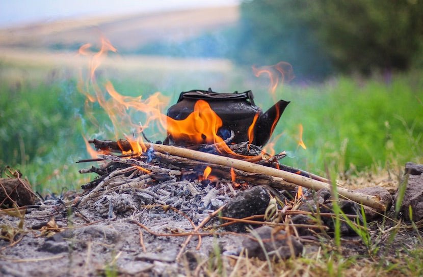 Herbal Camping Essentials For Outdoorsy People - Loose Leaf Tea Market