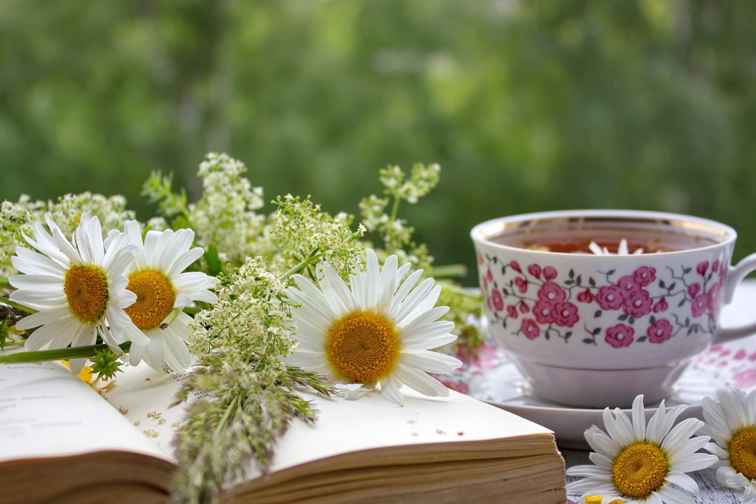 Love To Read? Here Are 5 Exciting Book and Tea Combos for Your Next Reading Adventure - Loose Leaf Tea Market