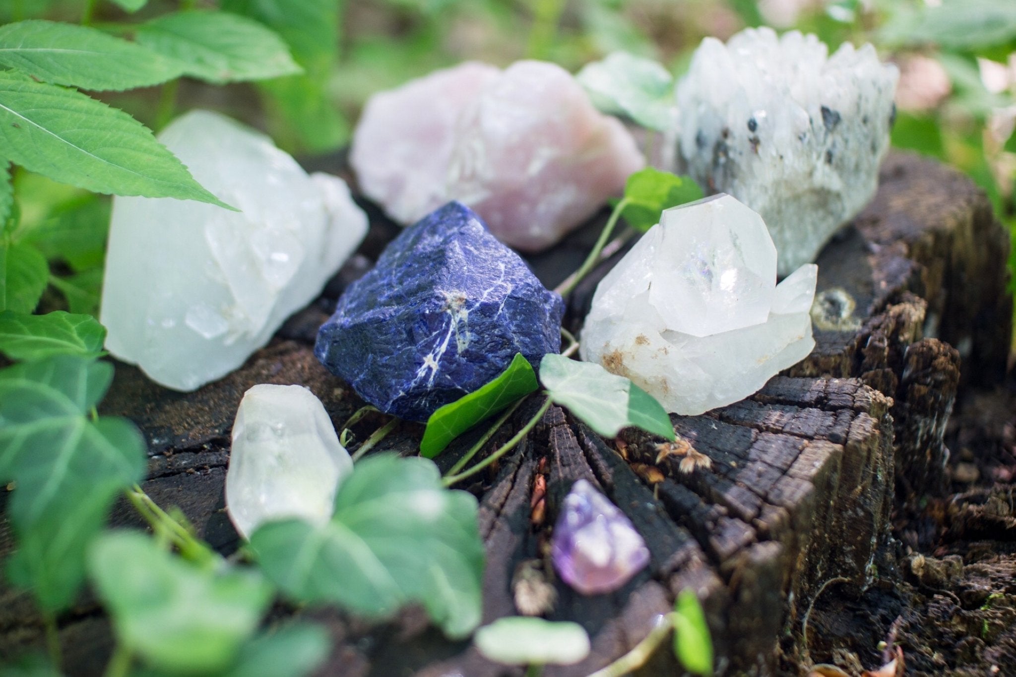 New To Using Herbs And Crystals? These 9 Botanicals & Gemstones Will Keep The Vibes High & Keep Negativity Away - Loose Leaf Tea Market