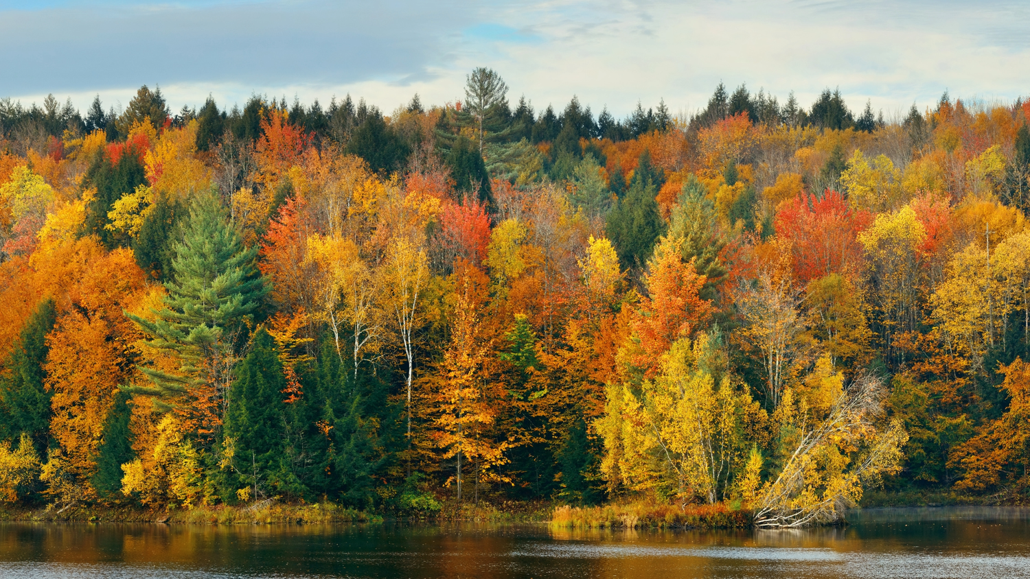 Seasonal Changes Are Real: What Fall Does to Your Body - Loose Leaf Tea Market