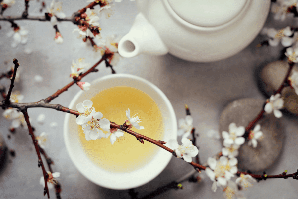 What You Need to Know About White Tea for Weight Loss - Loose Leaf Tea Market