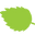 Loose Leaf Tea logo