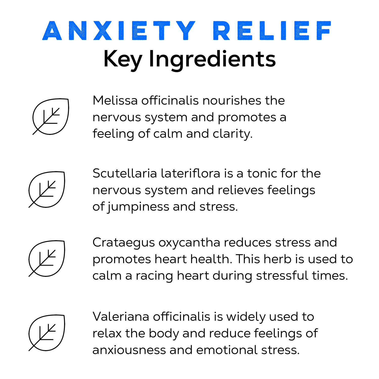 Anxiety Relief Tea - Loose Leaf Tea Market