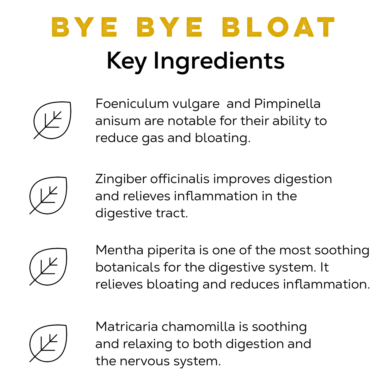 Bye Bye Bloat - Loose Leaf Tea Market