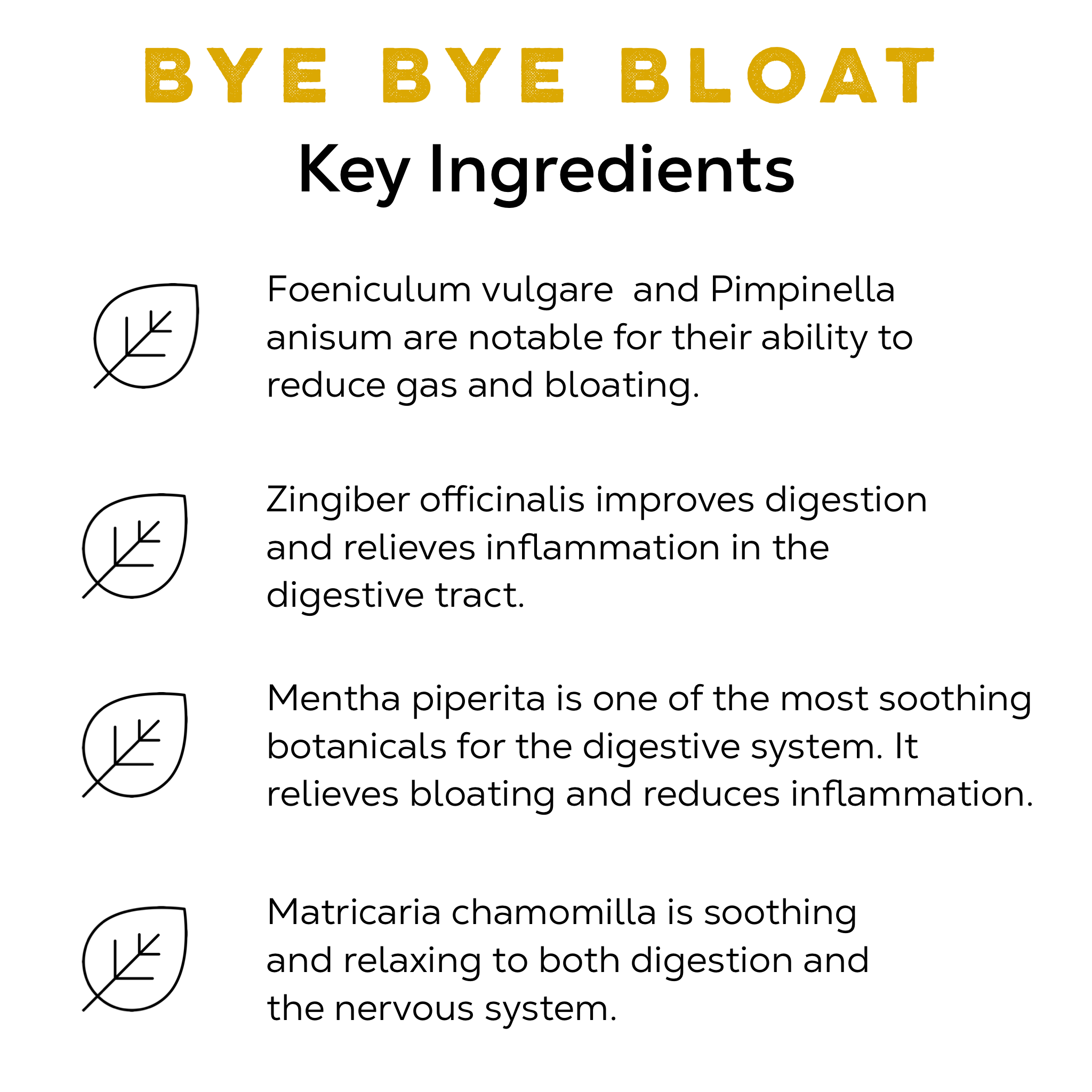 Bye Bye Bloat - Loose Leaf Tea Market