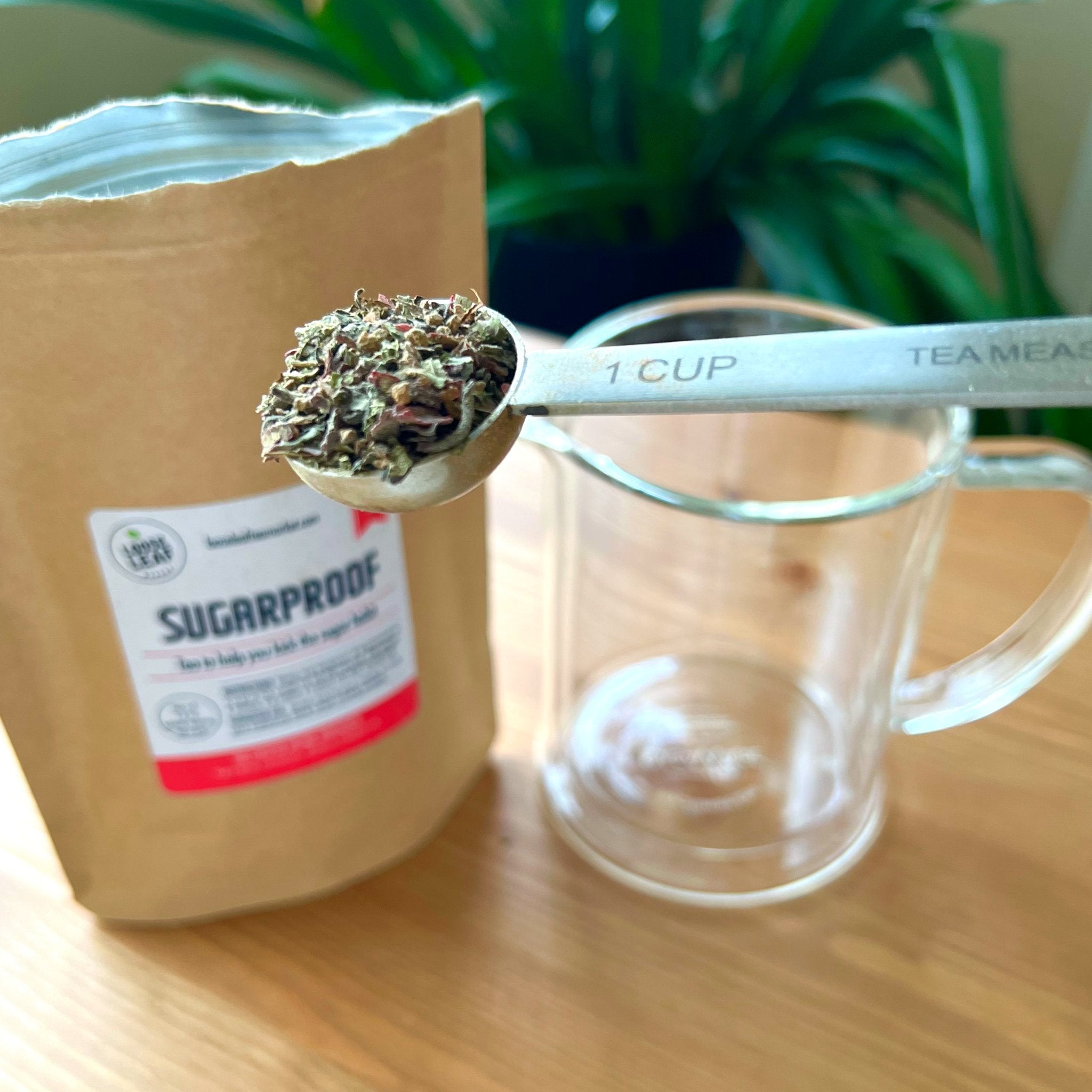 Sugarproof Tea How To Stop Sugar Cravings Instantly Loose Leaf Tea Sugarproof tea how to stop sugar cravings instantly loose leaf tea