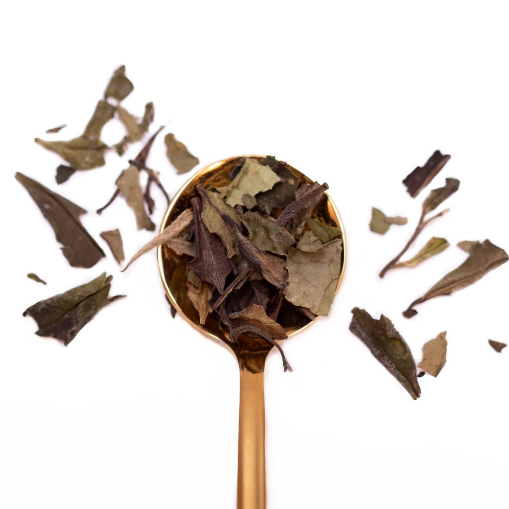 Tea Infuser | Leaf & Twig, LLC | Handcrafted Loose Leaf Teas, Powders,  Accessories